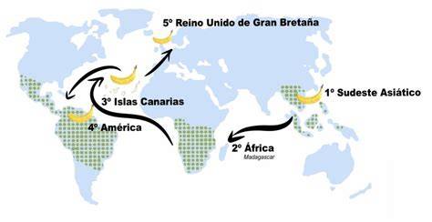 Mapa de la ruta del plátano y la influencia del fufú en el Caribe