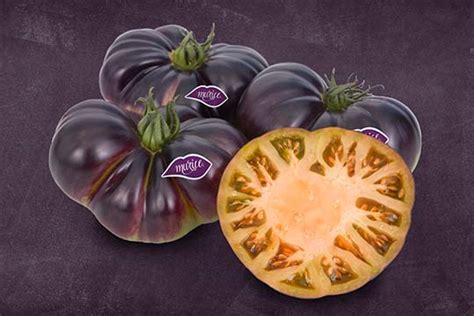 Fotografía detallada de un tomate Murice mostrando su color púrpura característico y forma asurcada
