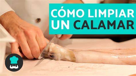 Cómo limpiar un calamar paso a paso