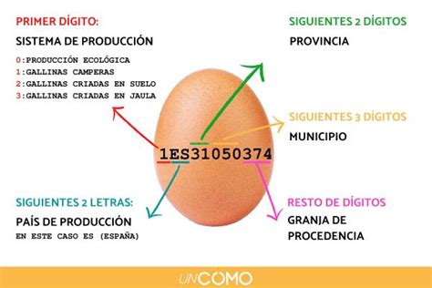 Infografía: Significado de los códigos en los huevos (0, 1, 2, 3)
