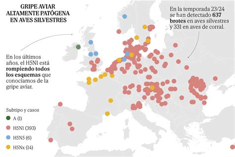 Mapa de zonas afectadas por gripe aviar en Europa