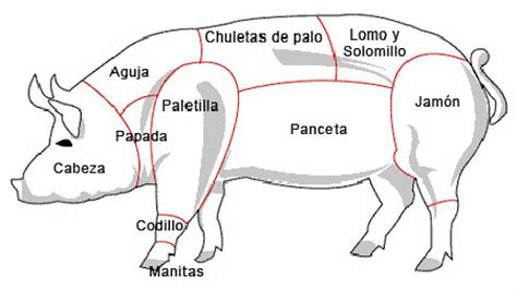 Esquema del despiece del cerdo, señalando la ubicación del codillo