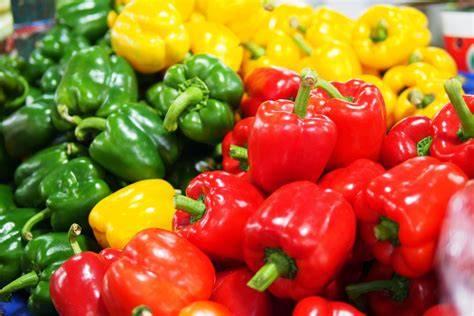 Pimientos morrones de diferentes colores
