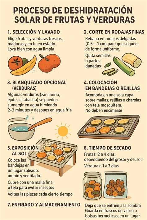 Esquema del proceso de deshidratación de hierbas en un deshidratador