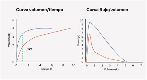 Ejemplo de curvas de fermentación patrón vs. problema