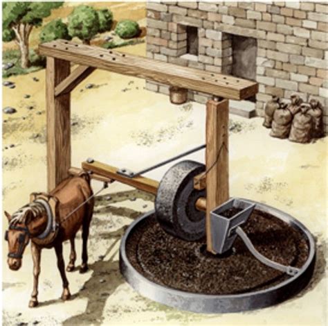 Molino de sangre con tracción animal
