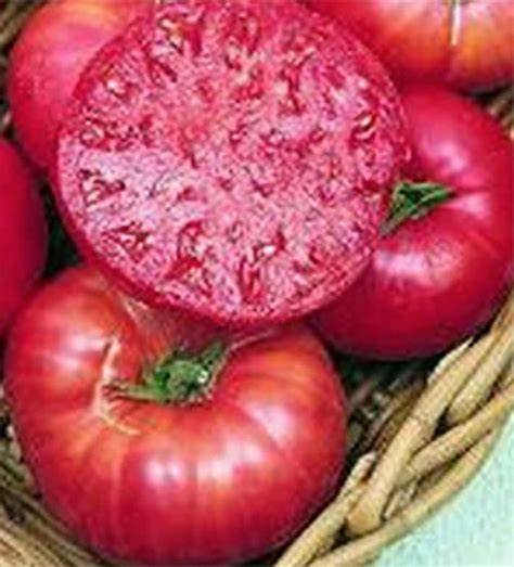 Detalle de un tomate rosa cortado mostrando su interior carnoso