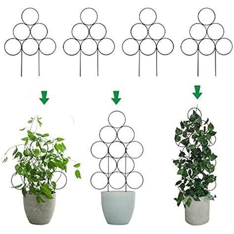 Ilustración de un enrejado para plantas de lentejas