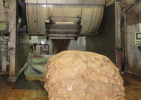 Proceso de curtido vegetal de la vaquetilla