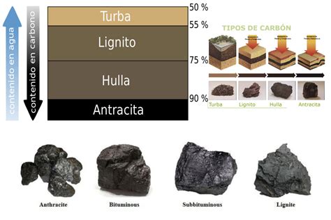 Tipos de carbón vegetal para hostelería con sus características