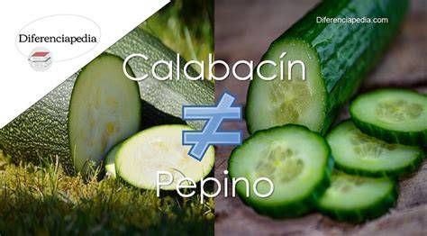 Diferencias entre calabacín y pepino