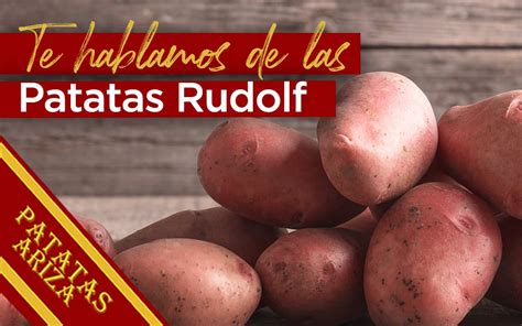 Patata Rudolph en el campo
