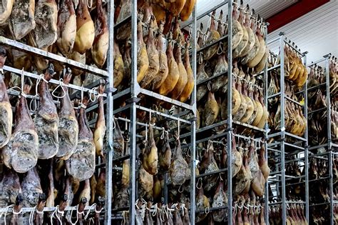 Bodega con jamones curándose