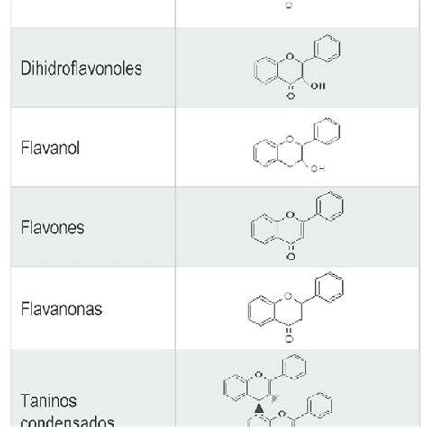 Estructura molecular de los taninos