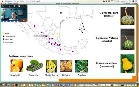 Cultivos de Cucurbita en América