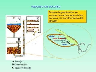 esquema paso a paso del proceso de remojo y escurrido
