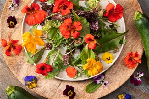 Jardín con flores comestibles cultivadas orgánicamente