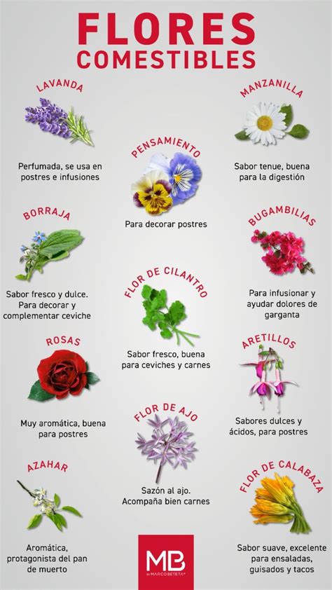 Variedad de flores comestibles con sus nombres