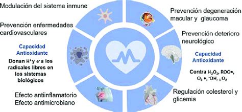 Infografía sobre los beneficios de las antocianinas en la salud
