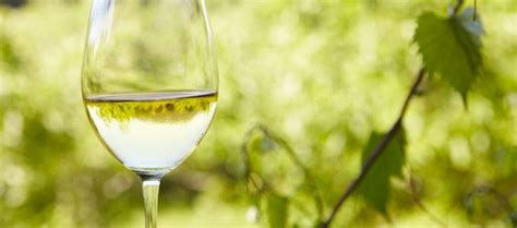 Gráfico comparativo de perfiles aromáticos entre vinos fermentados en barrica y en depósito