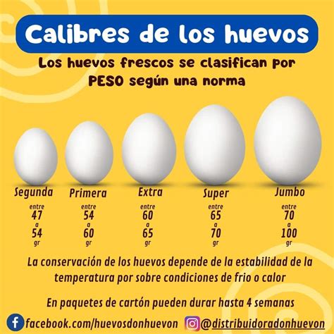 Clasificación de huevos por tamaño