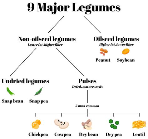 Esquema que clasifica las nueve legumbres más consumidas en el mundo