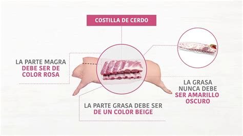 Diferentes cortes de costillas de cerdo