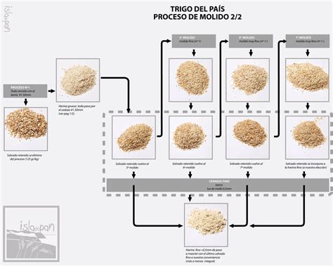 esquema de conversión de harina de trigo