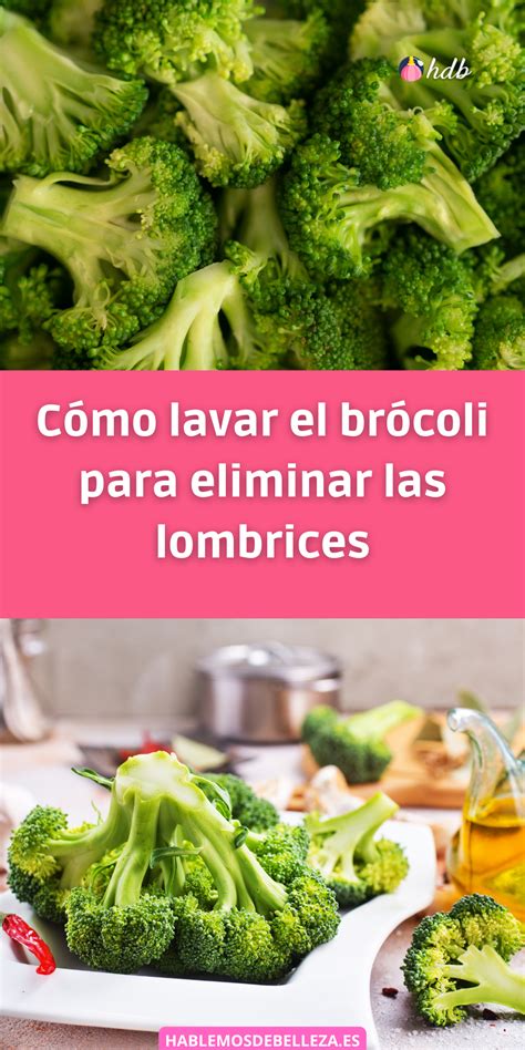 Brócoli blanqueado y listo para usar