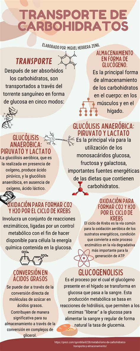Infografía sobre el transporte y almacenamiento de tomates