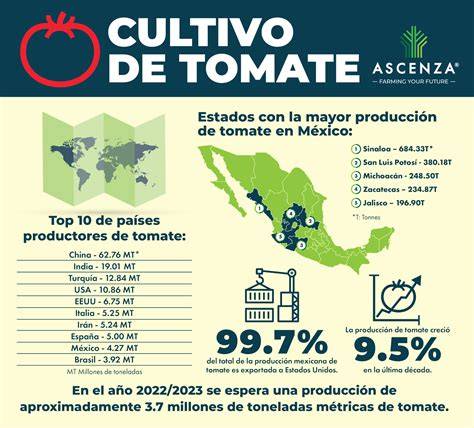 Mapa de distribución del tomate de árbol en Sudamérica