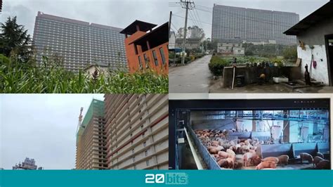 Edificio de 26 plantas de la granja de cerdos en Ezhou
