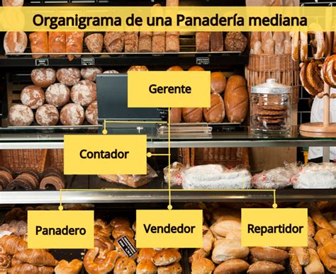 Infografía: Factores a considerar al comprar una panificadora