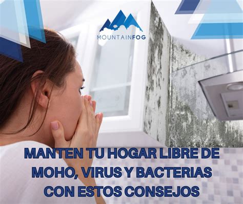 Baño con buena ventilación para prevenir moho