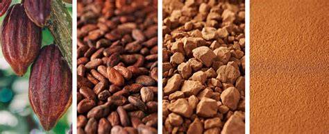Diferencias entre cacao y chocolate