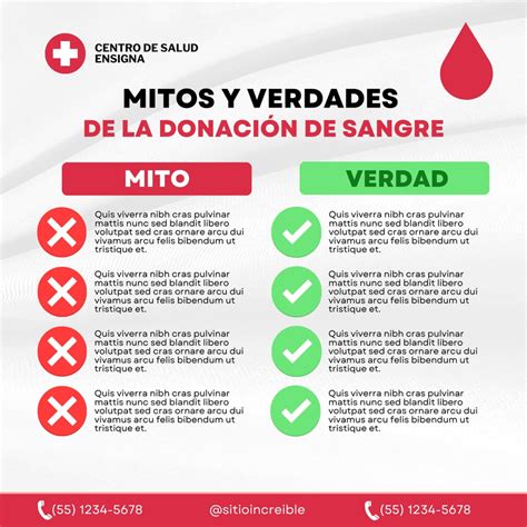 Infografía: Mitos y verdades sobre el microondas