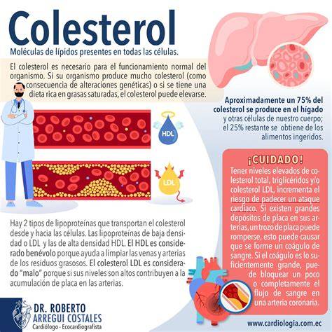 Infografía sobre los efectos del colesterol alto en las arterias