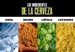 diagrama de los ingredientes básicos de la cerveza malta lúpulo agua