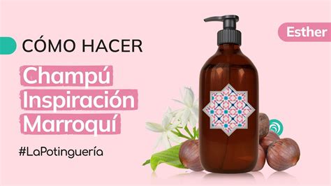 Infografía de los ingredientes clave del champú D'Shila