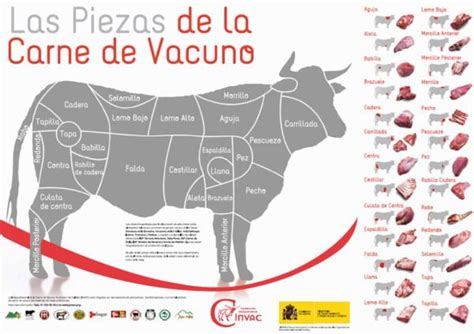 Despiece de vacuno para guisos