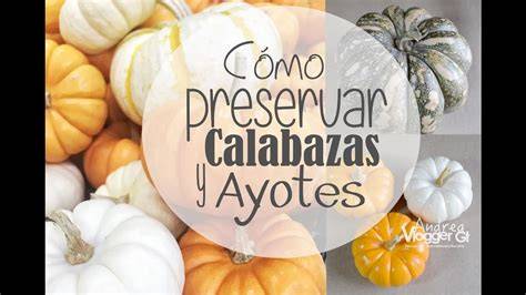 Infografía con consejos para decorar y conservar calabazas de Halloween
