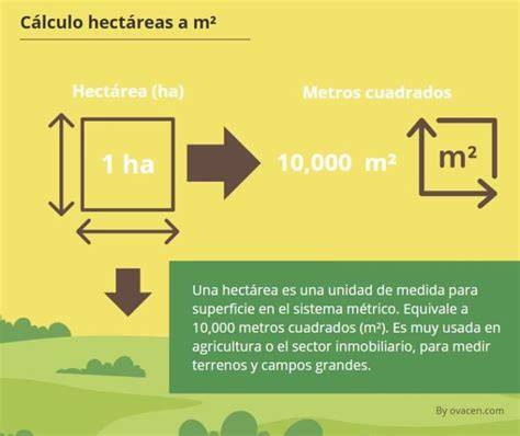 Infografía sobre los beneficios de medir el rendimiento por hectárea