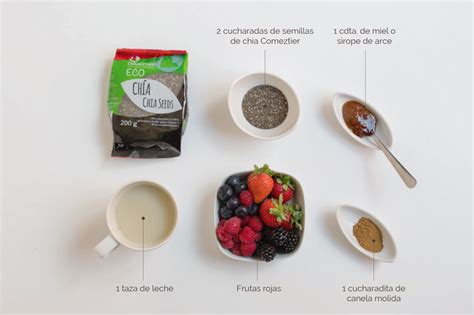 Ingredientes para pudin de chía