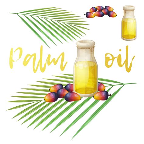 Ilustración de etiquetas de productos con aceite de palma resaltado