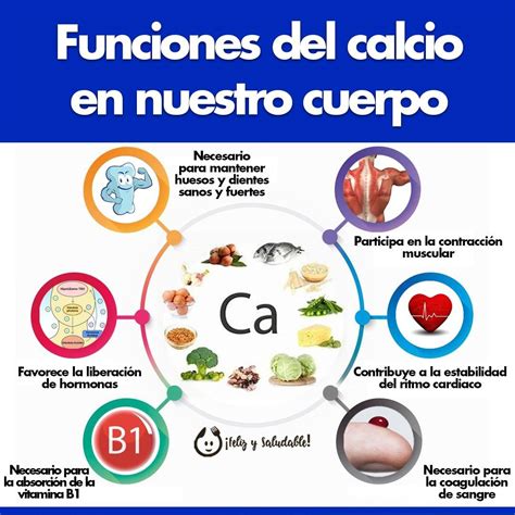Infografía sobre los beneficios del calcio y la vitamina B12