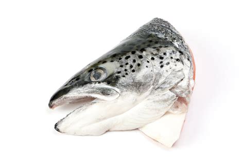 Cabezas y espinas de salmón para caldo