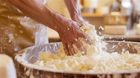 Proceso de elaboración de queso artesanal