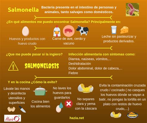 Infografía sobre cómo prevenir la salmonella al manipular huevos