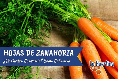 Composición nutricional de las hojas de zanahoria