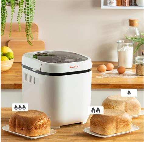 Moulinex OW2101 Pain Doré